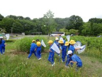 虫さがしへ　GO！