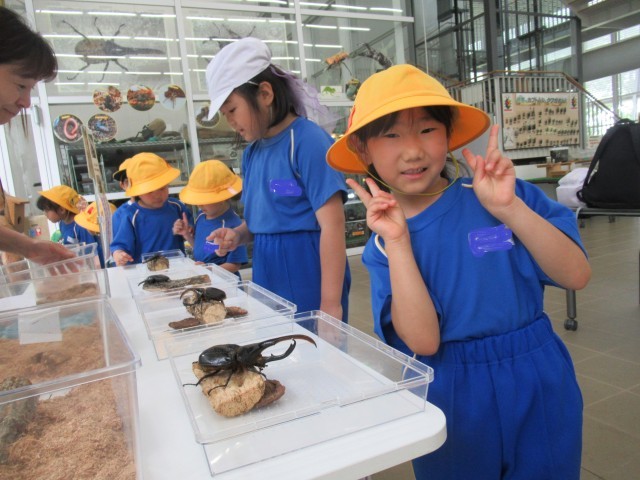 大きなカブトムシを触ったよ