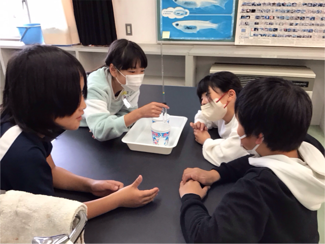 https://koriyama.schoolweb.ne.jp/0710006/blog_img/117165297?tm=20241205074954