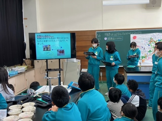 https://koriyama.schoolweb.ne.jp/0710009/blog_img/86980191?tm=20241119142532