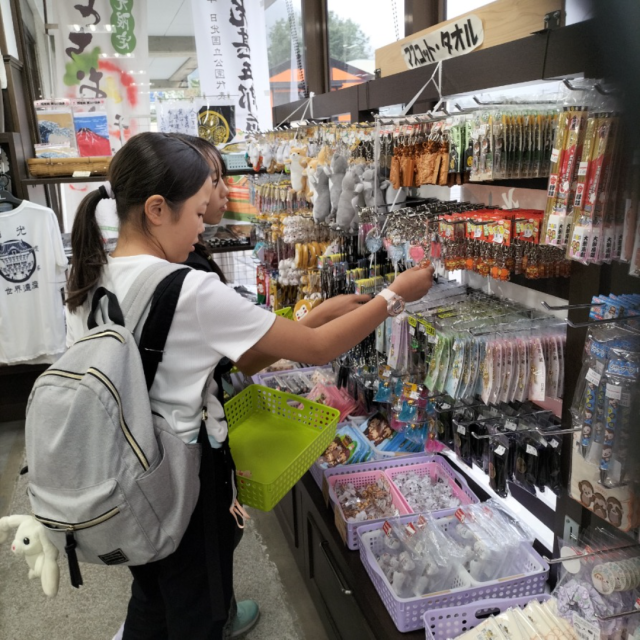 どれがいいかな？