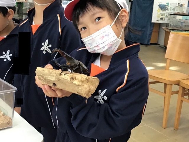 https://koriyama.schoolweb.ne.jp/0710015/blog_img/54341099?tm=20241029112603