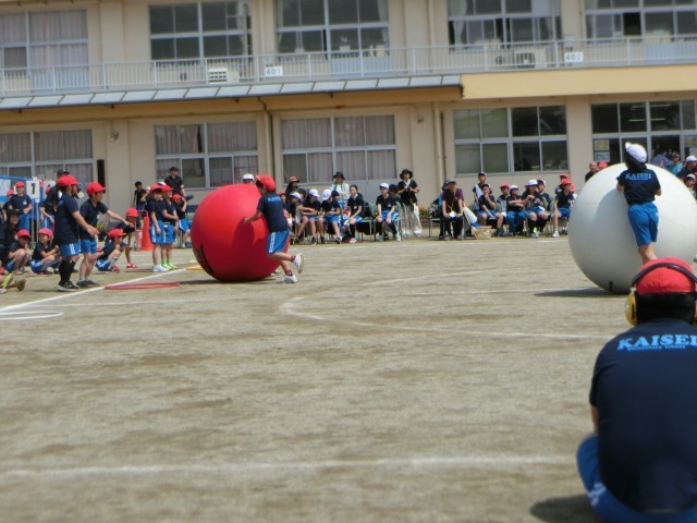 ３年生　大玉ころがし