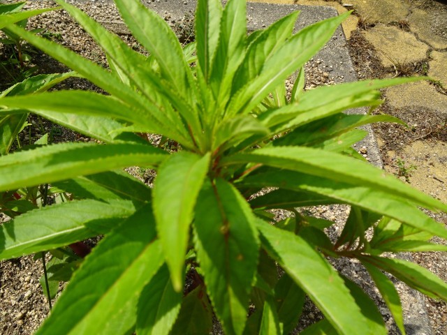 第１問