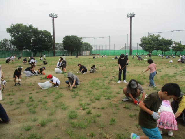 草むしり開始！