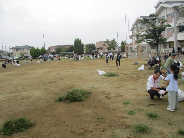草の山がたくさんできた。