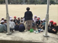 観察用鉢への土入れ