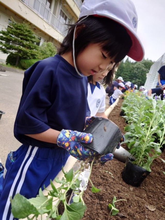 花を植える児童