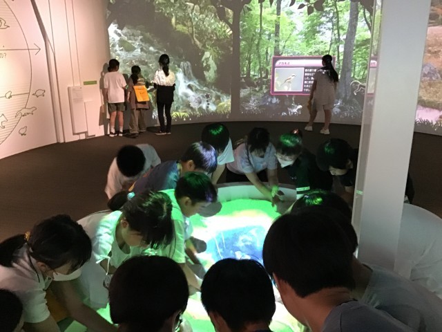 プロジェクションマッピングを用いた展示