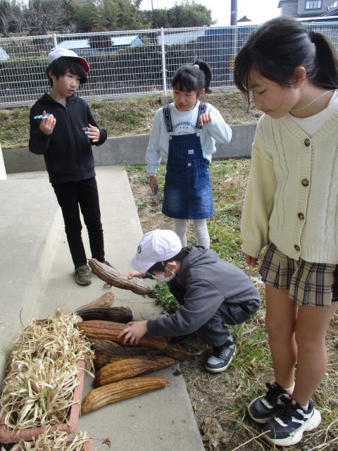 https://koriyama.schoolweb.ne.jp/0710116/blog_img/232267597?tm=20250313113819