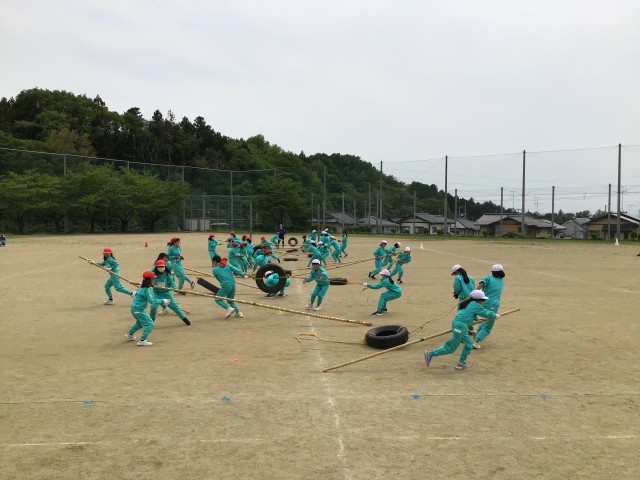 女子が竹やタイヤを取り合う様子