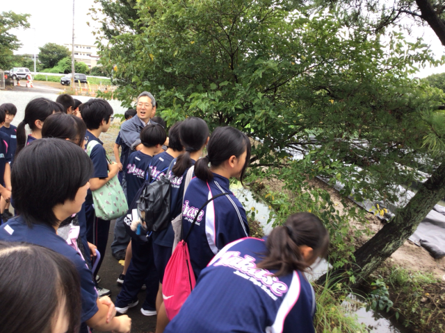 浮島農法の実験農場を見学