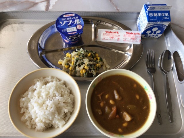 チキンカレーライス　ひじき入りサラダ　ヨーグルト　牛乳